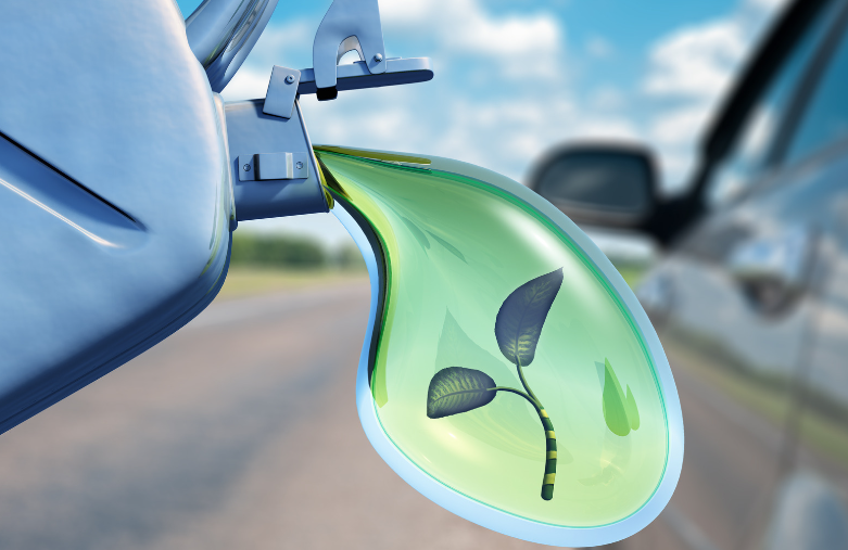 Utilisation du biofioul